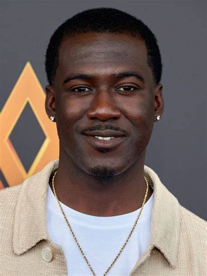 Kwesi Boakye is an American actor and voice actor